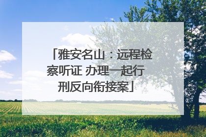 雅安名山：远程检察听证 办理一起行刑反向衔接案